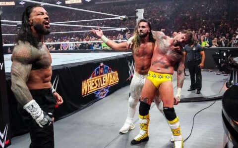 赛斯·罗林斯（Seth Rollins）粉，还是CM朋克（CM Punk）党，亦或是罗曼·雷恩斯（Roman Reigns）
