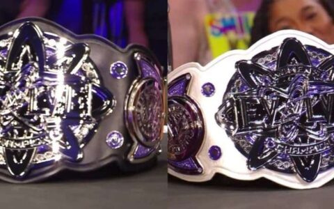 WWE EVOLVE男子冠军（WWE EVOLVE Championship）与WWE EVOLVE女子冠军（WWE EVOLVE Women’s Championship）。