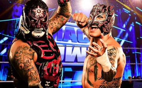 卢查兄弟（Lucha Brothers）