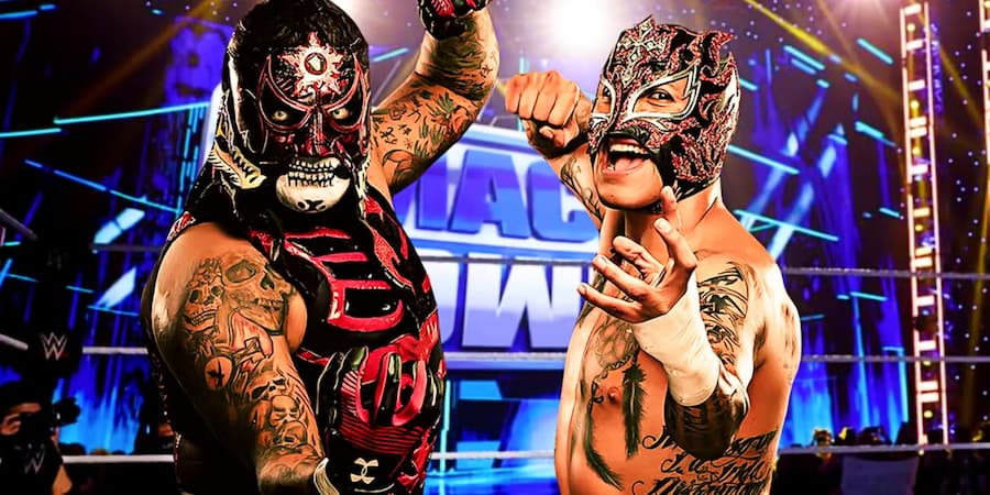 卢查兄弟（Lucha Brothers）