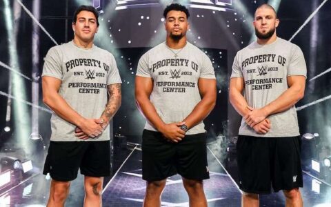 WWE 再添新血，三位前奥运选手加盟！