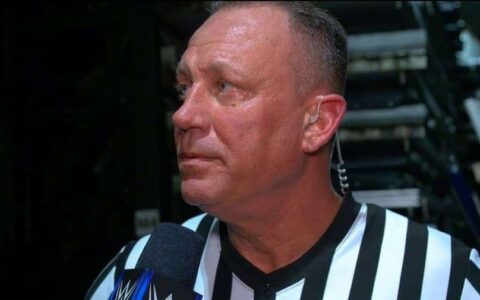 WWE裁判薪资揭秘：远低于摔角手，但行业整体收入大幅提升！