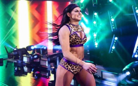WWE遭裁选手接下来去哪儿？有人已退出摔角圈