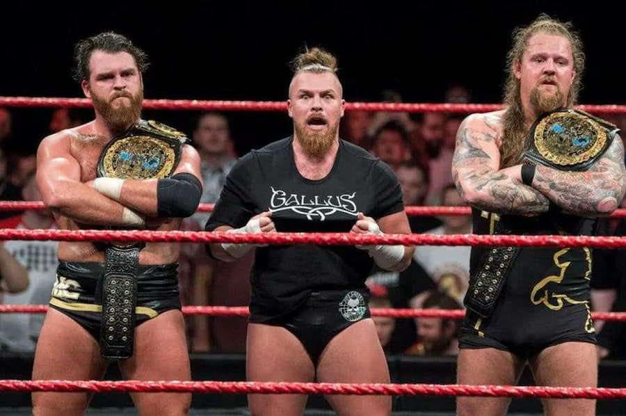 Gallus)。这个由乔·科菲(Joe Coffey)、沃尔夫冈(Wolfgang)和马克·科菲(Mark Coffey