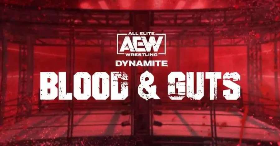 正是AEW的标志性品牌——“浴血奋战”(Blood and Guts)!