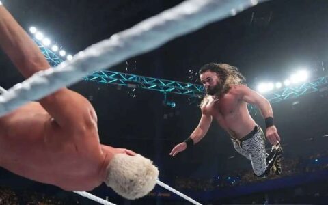 赛斯·罗林斯（Seth Rollins）**与科迪·罗兹（Cody Rhodes）