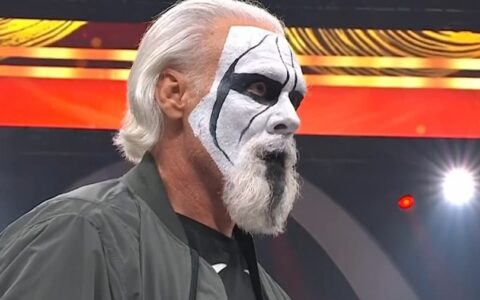 斯汀 (sting)
