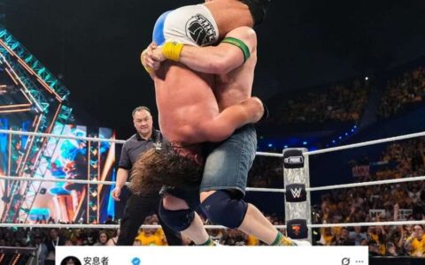塞纳凭借一记送葬者（The Undertaker）的墓碑石钉头（Tombstone Piledriver）