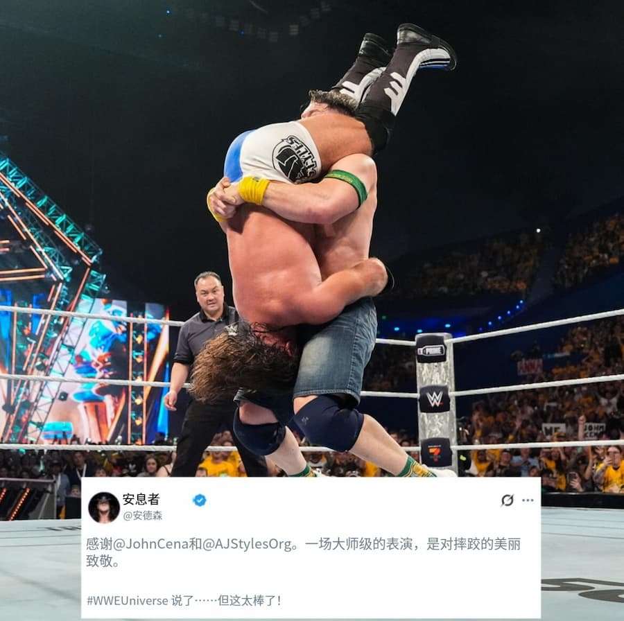 塞纳凭借一记送葬者(The Undertaker)的墓碑石钉头(Tombstone Piledriver)