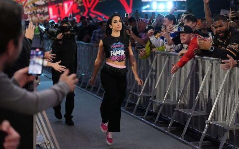 AJ 李（AJ Lee）