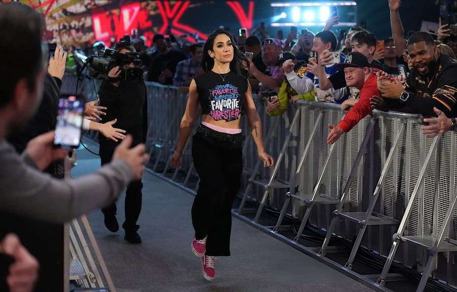 AJ 李(AJ Lee)