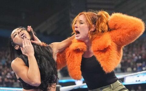 AJ Lee与贝基·林奇 (Becky Lynch)