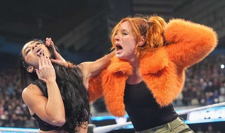 AJ Lee与贝基·林奇 (Becky Lynch)