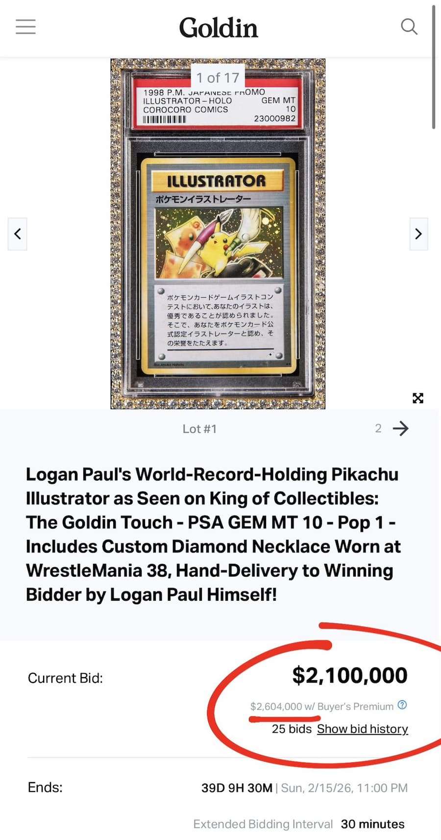 **“Pikachu Illustrator”**