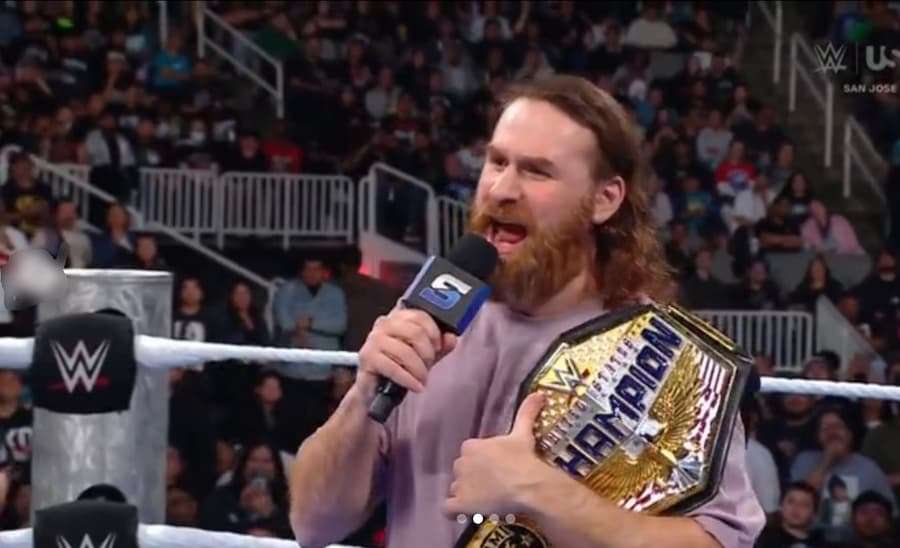萨米辛（Sami Zayn）