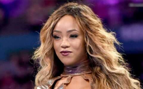 前WWE女星Alicia Fox被TNA正式解约，又一位老将离开