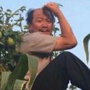 广坤的头像