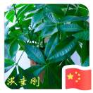 微信用户的头像