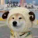 小青的头像