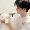 。。。。。。的头像