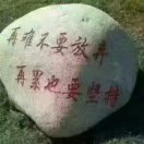 奋斗的头像