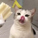 陈先森的头像