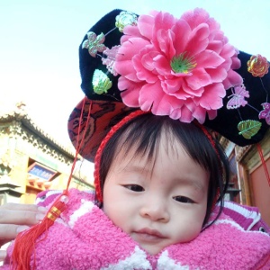 Miyacan的头像