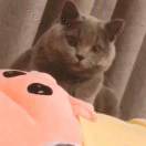 导演电影却导演不了人生的头像
