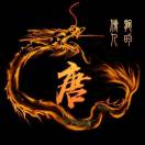 tangqihao的头像